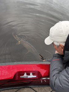 Fishing with the best guide in Minocqua!